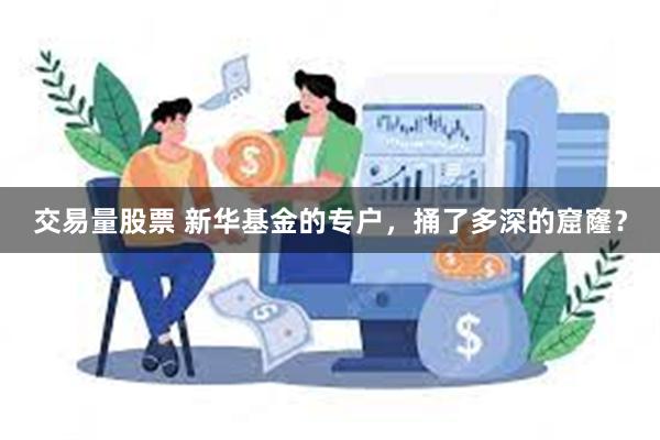 交易量股票 新华基金的专户，捅了多深的窟窿？