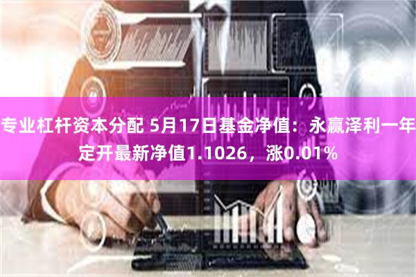 专业杠杆资本分配 5月17日基金净值：永赢泽利一年定开最新净值1.1026，涨0.01%