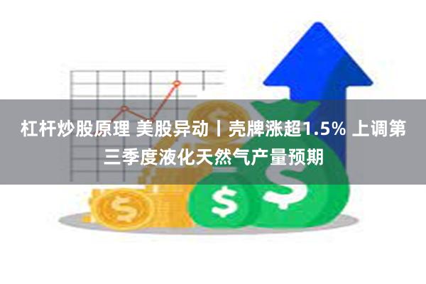 杠杆炒股原理 美股异动丨壳牌涨超1.5% 上调第三季度液化天然气产量预期