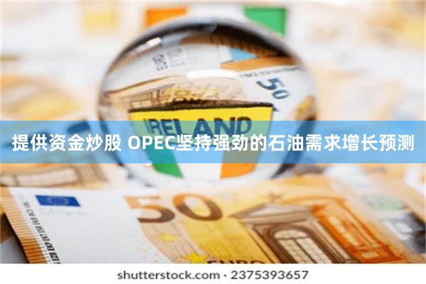 提供资金炒股 OPEC坚持强劲的石油需求增长预测