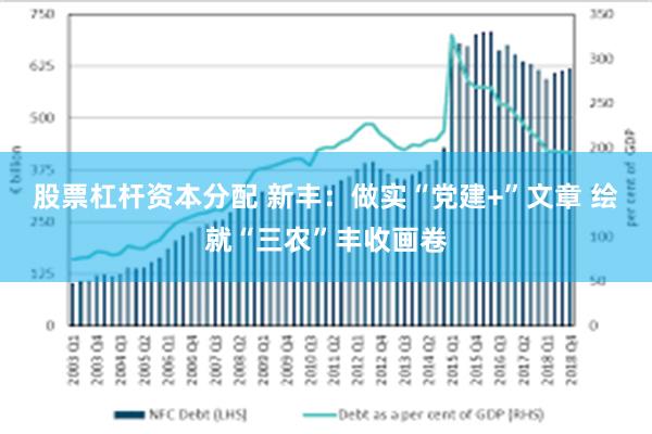 股票杠杆资本分配 新丰：做实“党建+”文章 绘就“三农”丰收画卷