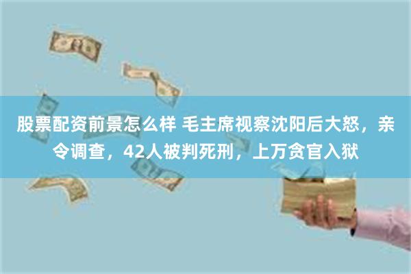 股票配资前景怎么样 毛主席视察沈阳后大怒，亲令调查，42人被判死刑，上万贪官入狱