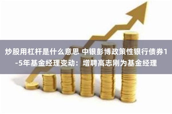 炒股用杠杆是什么意思 中银彭博政策性银行债券1-5年基金经理变动：增聘高志刚为基金经理