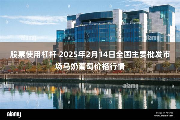 股票使用杠杆 2025年2月14日全国主要批发市场马奶葡萄价格行情