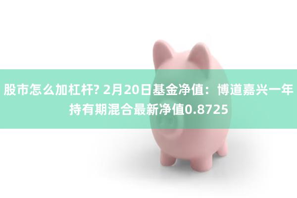 股市怎么加杠杆? 2月20日基金净值：博道嘉兴一年持有期混合最新净值0.8725