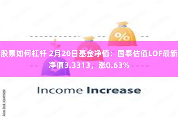 股票如何杠杆 2月20日基金净值：国泰估值LOF最新净值3.3313，涨0.63%